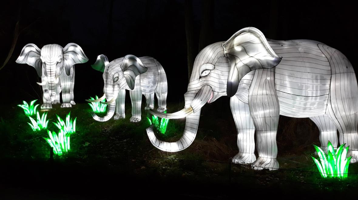 Woodland Park Zoo’s Holiday Lantern Festival Is Back for 2021 ParentMap